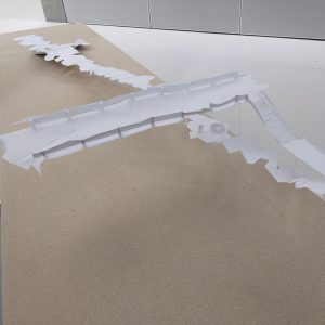 PXL_20220118_165508428