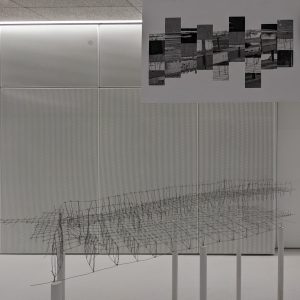 PXL_20220118_165621261