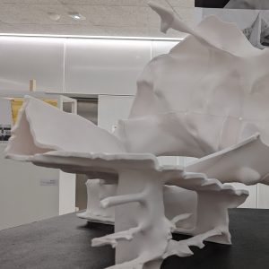 PXL_20220118_170449245