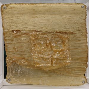 PXL_20220118_170744734